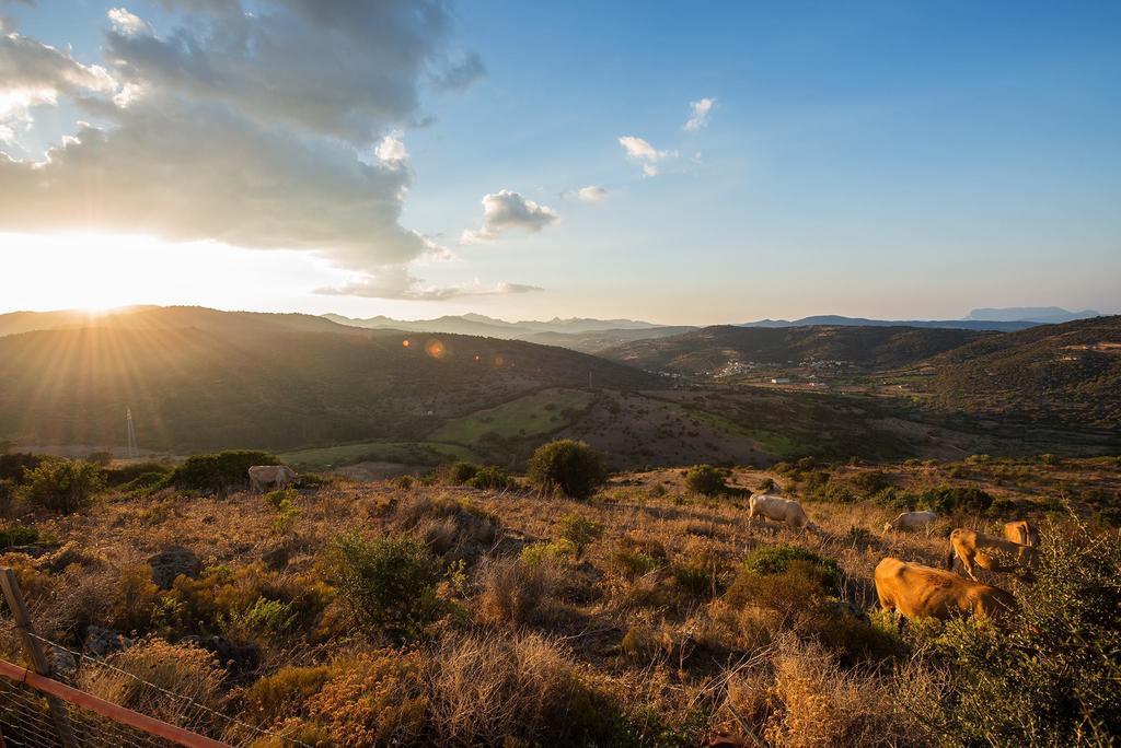 Agriturismo Irghitula Posada  Exteriér fotografie